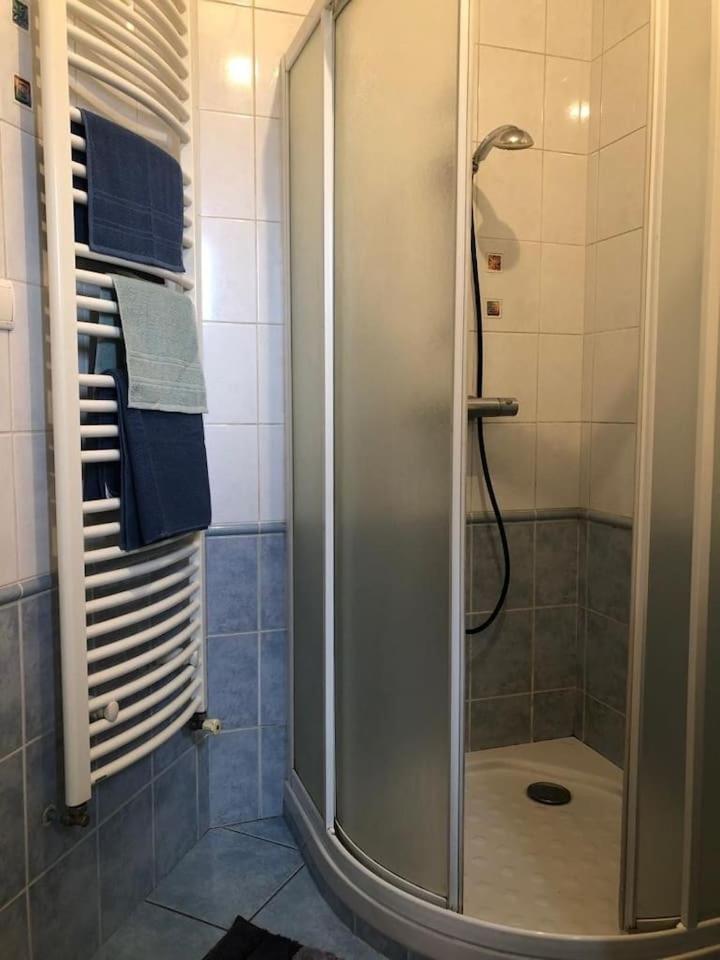 סן-אטיין Appartement Cosy מראה חיצוני תמונה